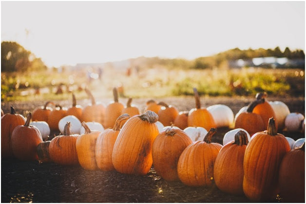Facts You Might Not Know About Fall’s Spooky Holidays: Halloween and More